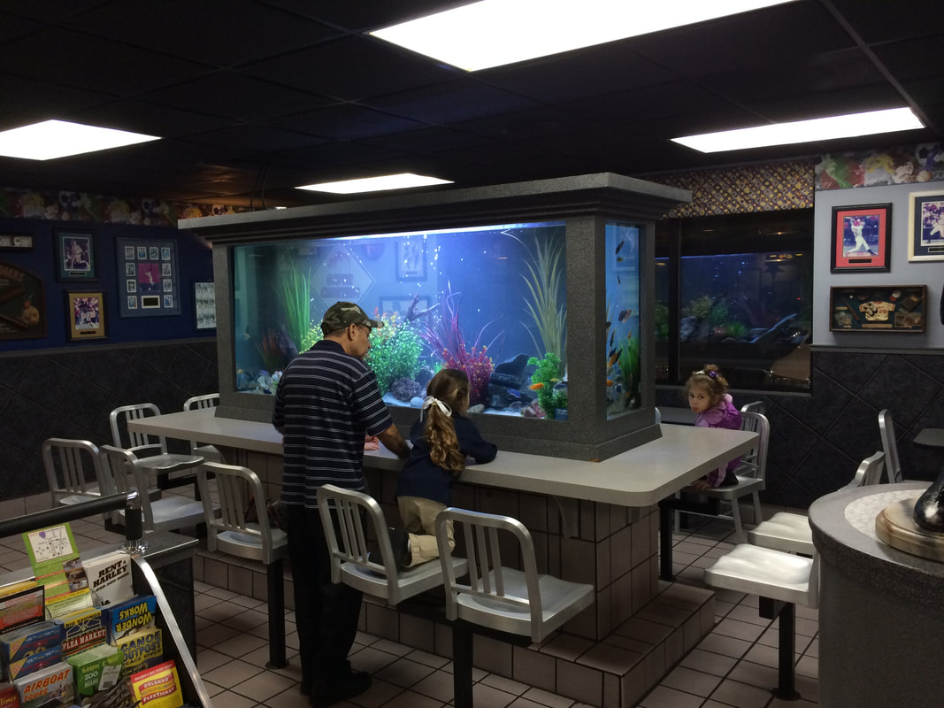 Converted freshwater aquarium